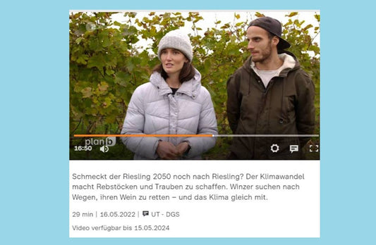 Luffa Gurken Gründer beim ZDF